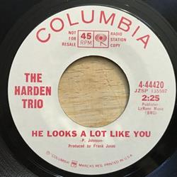 Download The Harden Trio - He Looks A Lot Like You My Friend Mister Echo