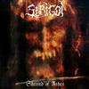 Album herunterladen Strigoi (AIDS) - Shroud of Ashes