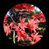 descargar álbum Various - Banoffee Pies Black Label 03