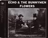 ouvir online Echo & The Bunnymen - Flowers