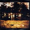 baixar álbum Jim Lockey & The Solemn Sun - New Natives
