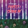 ouvir online The Drug Rugs - Forest Crawlin