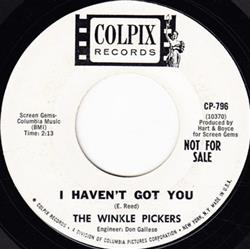 Download The Winkle Pickers - I Havent Got You My Name Is Granny Goose