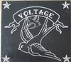Voltage - High Powered Blues Rock n Roll