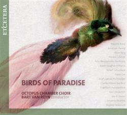 Download Octopus Chamber Choir, Bart van Reyn - Birds Of Paradise