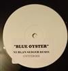 lytte på nettet Sil - Blue Oyster Nurlan Seiger Remix