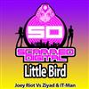 last ned album Joey Riot Vs Ziyad & ITman - Little Bird