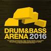 descargar álbum Various - Drum Bass Arena 2016