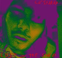 Download Lil' Sparky - Lost In The Shed