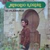 ladda ner album Antonio Román - Mi Flamenco