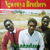 baixar álbum Ngwenya Brothers - Nyaradzo