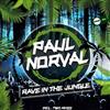 last ned album Paul Norval - Rave In The Jungle