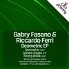 online anhören Gabry Fasano & Riccardo Ferri - Geometric EP