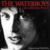 descargar álbum The Waterboys - In A Special Place