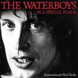 Download The Waterboys - In A Special Place