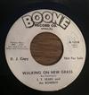 ladda ner album J T Sears And The Rowbux - Walking On New Grass Breaking Point