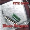 lataa albumi Pete Gavin - Blues Respect