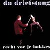 descargar álbum Du Driefstang - Recht Voe Je Bakkes