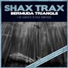 last ned album Various - Bermuda Triangle