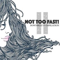 Download Various - Not Too Fast II Downbeat Compilation