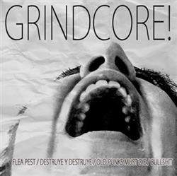 Download Flea Pest, Destruye y Destruye, OxPxMxDx, Bullshit (Ecu) - GRINDCORE