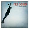 baixar álbum Fei Scho - WeltenSprung
