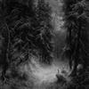 last ned album Hiemal - Wanderings Within Forests Of Despondency II II