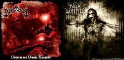 Download Nethescerial Black Winter - Onwards The Dismal Kingdoms In Cosmic Installation