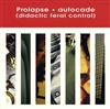 last ned album Prolapse - Autocade Didactic Feral Control