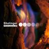 baixar álbum Sholinger - Third Lesson EP