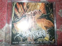 Download Holygore - Born from the Decease of Humanity