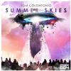 ladda ner album Tom Colontonio - Summer Skies