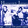 last ned album Homesick James - Chicago Slide Guitar Legend