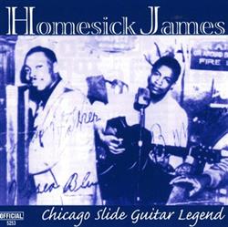 Download Homesick James - Chicago Slide Guitar Legend