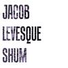 Jacob Levesque Shum - Split