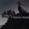 A Fragile Shade - Beneath These Ambitions